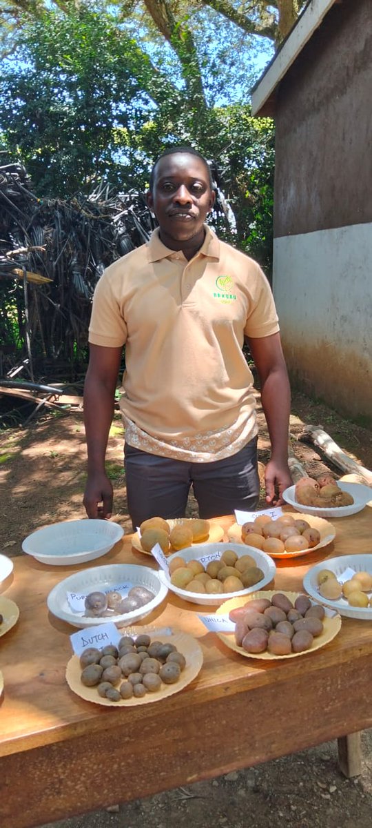 NakuruTubers's tweet photo. Exciting news! ๐ Our co-founder, Enock Rugut , has been shortlisted to the final pitch at the #E4Impact Accelerator. This is a great opportunity for Nakuru Tubers to continue building our capacity in delivering innovative and climate-smart solutions to farmers. https://t.co/YOoYYdchPU