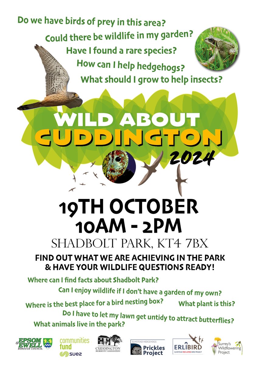 Friends of Shadbolt Park are putting on Wild about Cuddington on Sat 19 Oct 10-2pm to showcase what residents in Cuddington are doing to encourage wildlife in our residential streets, incl. Prickles Project for Hedgehogs &amp; ERLIBIRD nest box scheme for Swifts, Starlings &amp; Sparrows