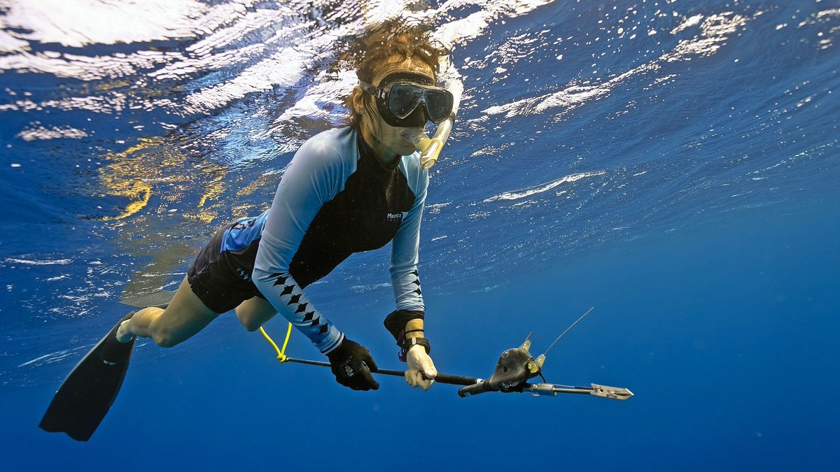 ⛴ 🌏 Marine Science 🐠 🐟 tweet media