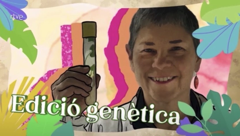 Com l'edició genètica pot ajudar a una agricultura més sostenible? 🌍

Ens ho explica molt be la investigadora de l'<a href="/irtacat/">IRTA</a> al CRAG, Montse Martin (@Montsemia54) a l'últim capítol de I+D vegetal de #Vadeverd de <a href="/RTVECatalunya/">RTVE Catalunya</a>🧬

A partir del min 7 aquí 🔗
rtve.es/play/videos/va…