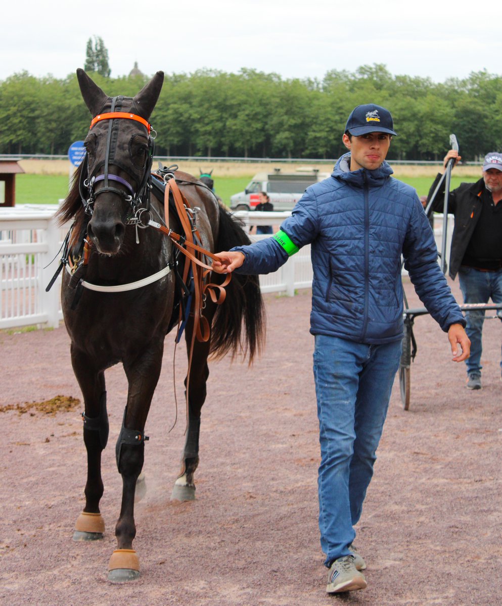 🎯 𝗟𝗘 𝗣𝗔𝗥𝗧𝗔𝗡𝗧 𝗗𝗘 𝗖𝗘 𝗟𝗨𝗡𝗗𝗜
📍 Enghien

🟠 311 Lynx Griff : Le poulain est en forme mais aura besoin d'un bon parcours pour faire sa meilleure valeur.
Si tout se passe bien, un chèque est dans ses cordes.