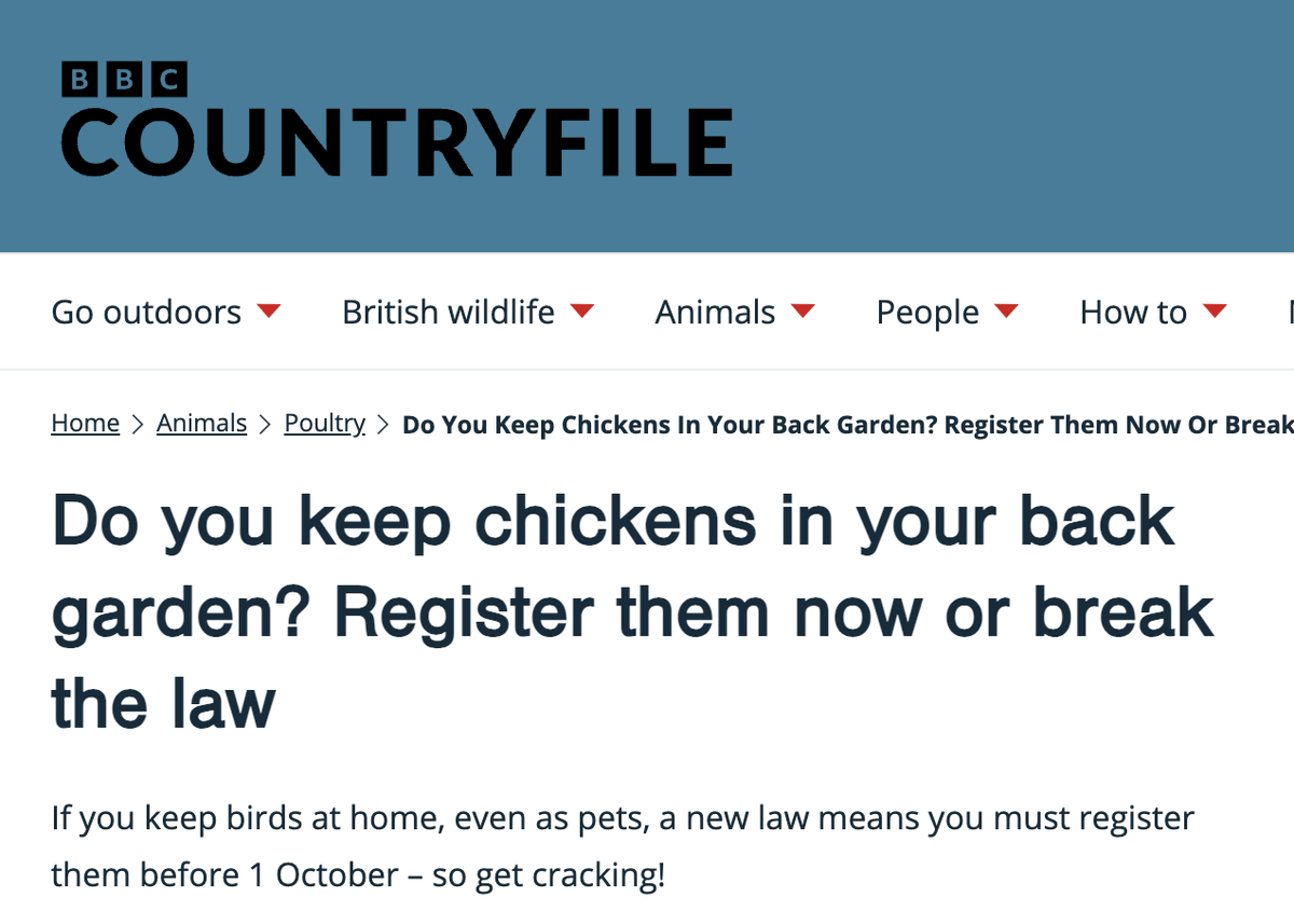 moveincircles's tweet image. Presumably they'll redirect these resources to punishing people for keeping secret chickens
