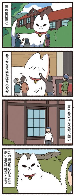 ねこようかい ねこもんすたー　ねこのおしごとセット ねこようかい ねこもんすたー ねこのおしごとセット Amazon.co