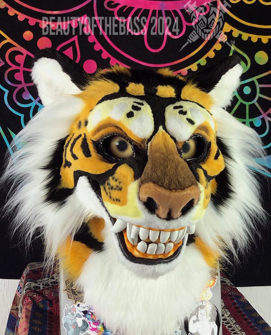 BeautyoftheBass tweet media