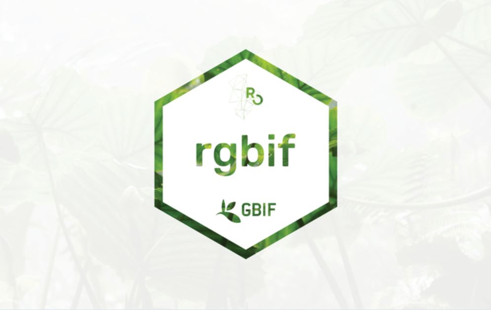 R you ready for an #rgbif update? Version 3.8.1 📦  is on #CRAN now!
👀  New features: 
◼️ New function occ_download_sql() for downloading occurrence data using SQL queries
🐞 Bug fixes:
◼️occ_download_cached() bug fixed. 

Learn more: 🔗 buff.ly/3ZPuI4F 

#Rstats