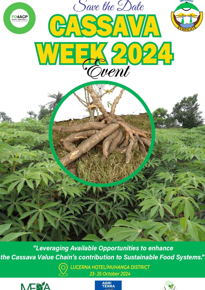 INGABO Syndicate (@ingabosyndicat1) on Twitter photo What? #Cassava Week 2024
Theme: " Leveraging Available Opportunities to Enhance the Cassava Value Chain's Contribution to Sustainable Food Systems"
When? 23- 25/10/2024
Where? Lucerna Hotel, <a href="/Muhangadis/">MUHANGA District</a>
Why? To promote the introduced Sustainable Seed system model in #Rwanda. What? #Cassava Week 2024
Theme: " Leveraging Available Opportunities to Enhance the Cassava Value Chain's Contribution to Sustainable Food Systems"
When? 23- 25/10/2024
Where? Lucerna Hotel, <a href="/Muhangadis/">MUHANGA District</a>
Why? To promote the introduced Sustainable Seed system model in #Rwanda.