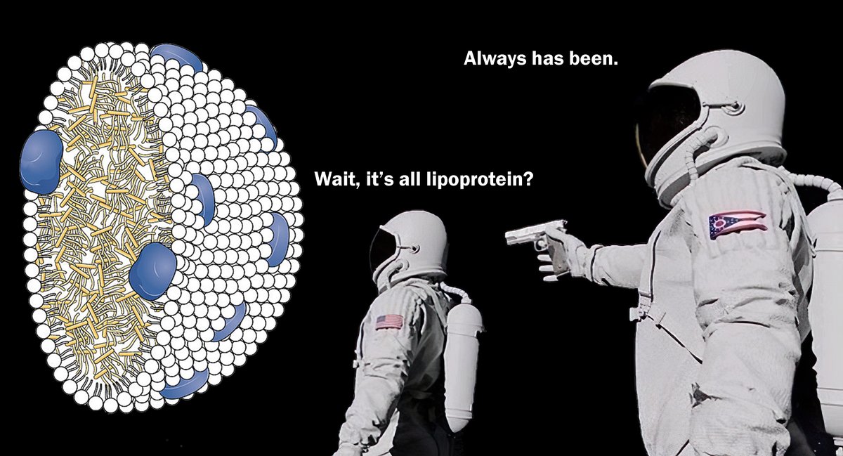 William Phillips tweet media