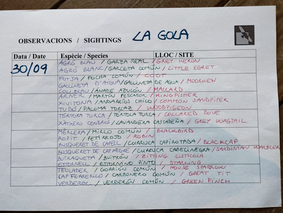 Llistat d'aus vistes a la Gola avui matí /Listado de aves de la Gola esta mañana / Birds seen this morning in  la Gola
