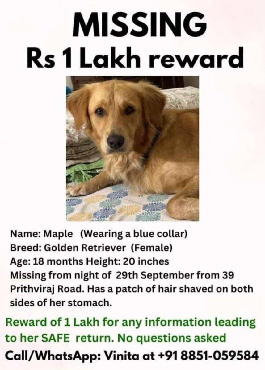 #Delhi #LostDog Golden Retriever has been abducted in a car that has a Ghaziabad number according to the Police as seen on cctv cameras.

RT!