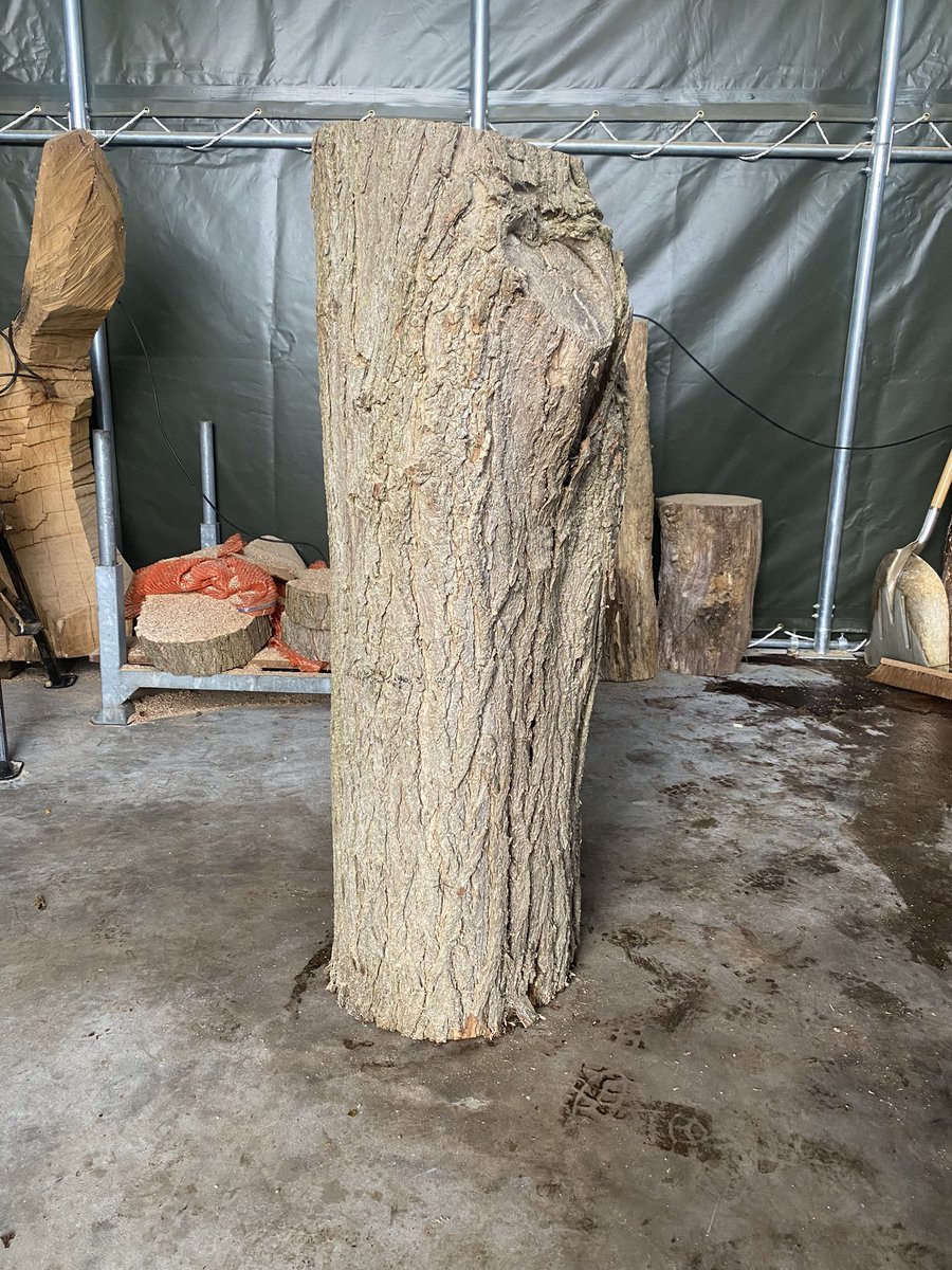 Andy Burgess tweet media