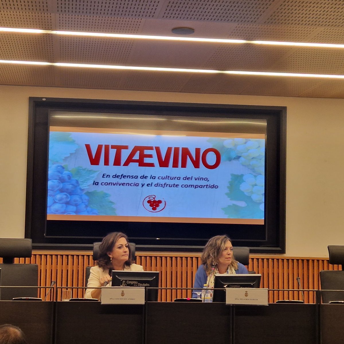 ➡️Doy mi alta voz a este proyecto #VitaeVino, el 🍷#vino es arte, parte de la sociedad, un producto que genera miles de puestos de trabajo, poner en valor porque surge del entono #rural : 👉<a href="/Milamarcos/">Mila Marcos</a> .
<a href="/ppopular/">Partido Popular</a> 
<a href="/ConchaAndreu/">Concha Andreu ❤️🤍💚💛</a> 
#SectordelVino
#OIVE 
<a href="/Congreso_Es/">Congreso</a>
#ECAAGRI