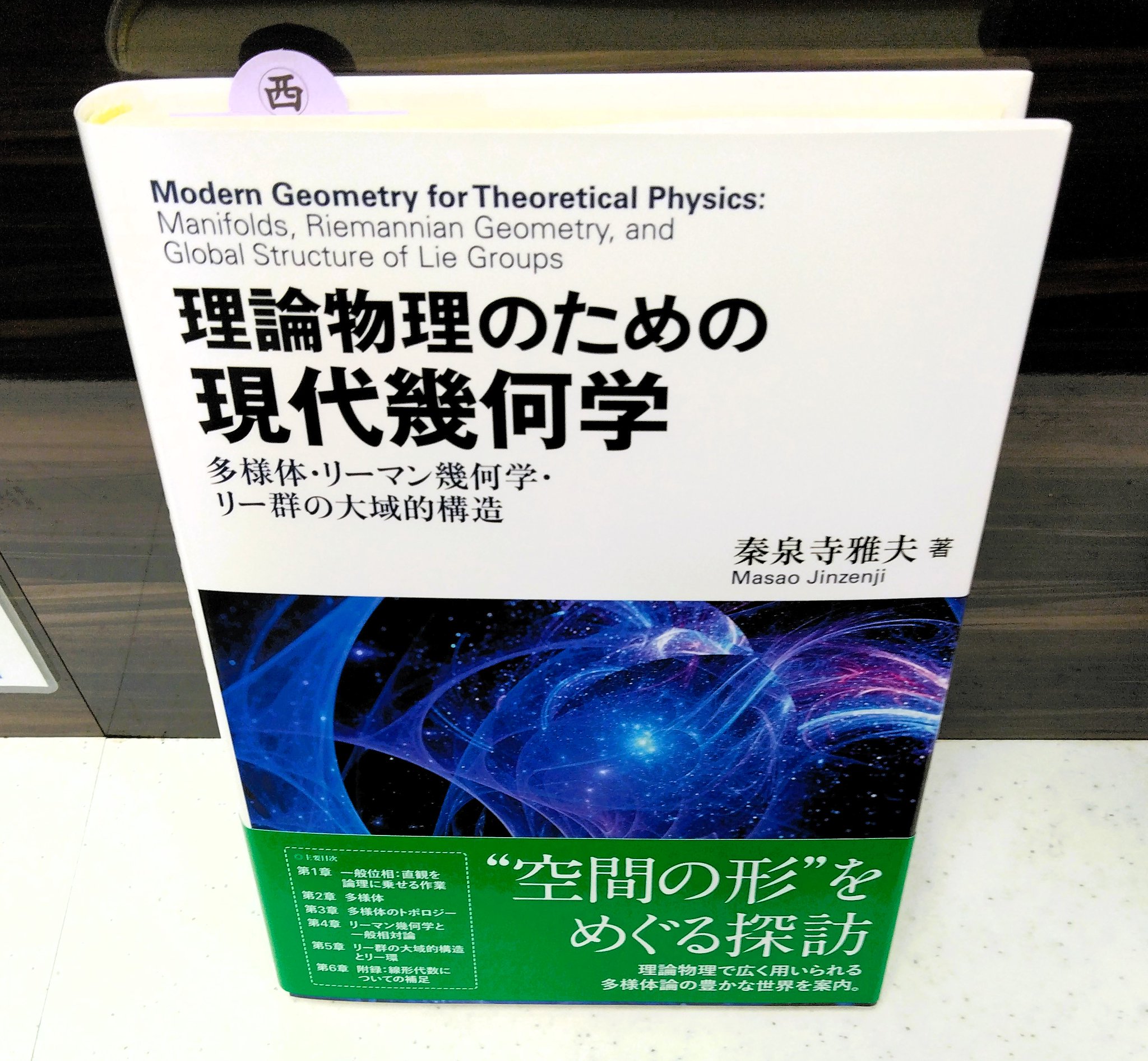 現代物理と現代幾何 物理学における幾何学の有効性 (別冊・数理