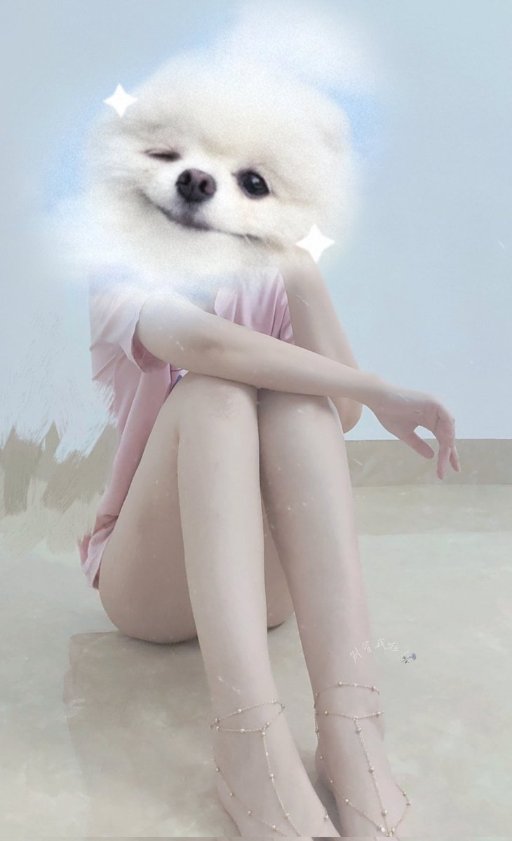媒体预览