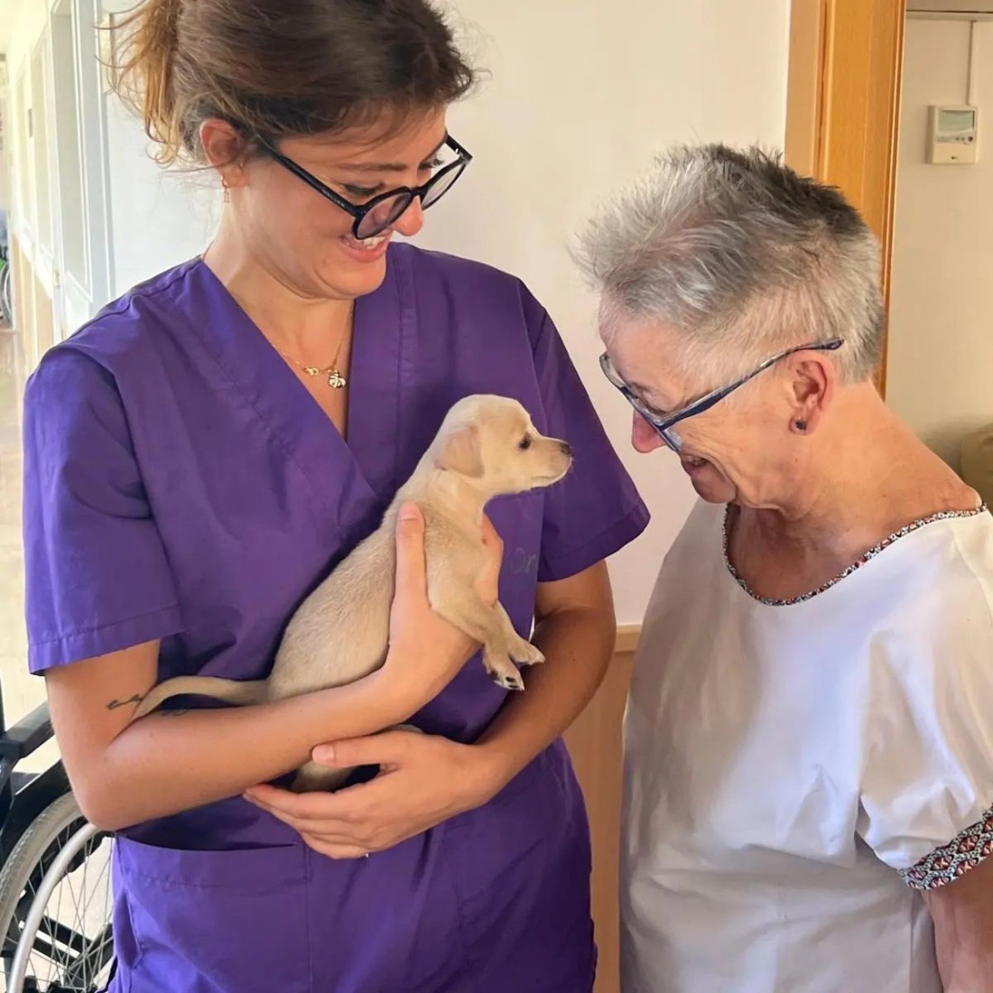 Celebrant 30 anys de dignitat: L'Onada Serveis i el seu paper en l'atenció a la gent gran dlvr.it/TDqlNw