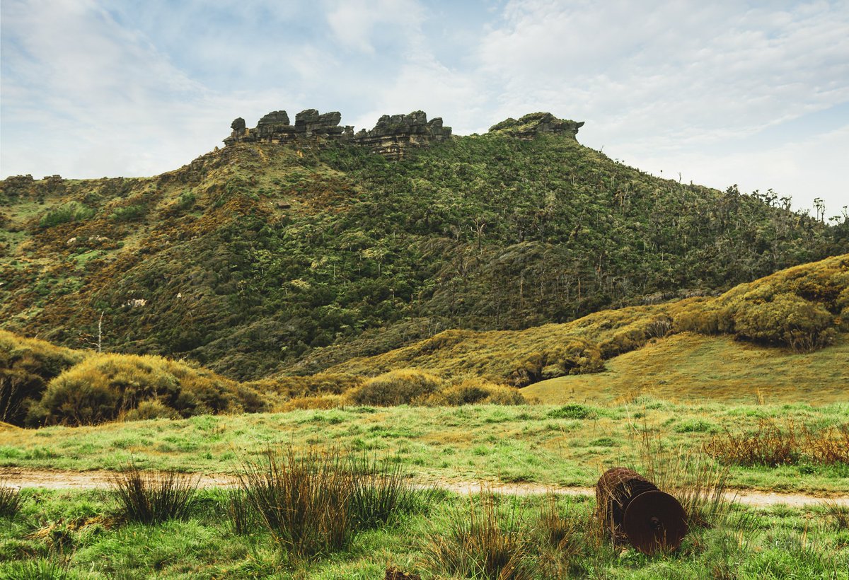 Mikey Mack tweet media