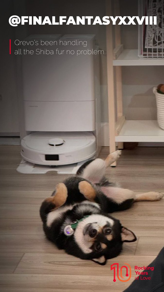 roborockglobal's tweet photo. Put the vacuum down and let us take care of it! We love cleaning up after your pets — and Roborock keeps up with even your furriest pups.
#10YearsOfRoborock #RockingLifeWithYou #Roborock #RobotVacuum https://t.co/PP9jrcjzTd