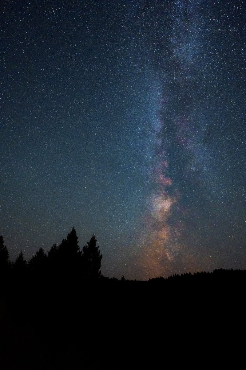 We’re all under the same stars ✨