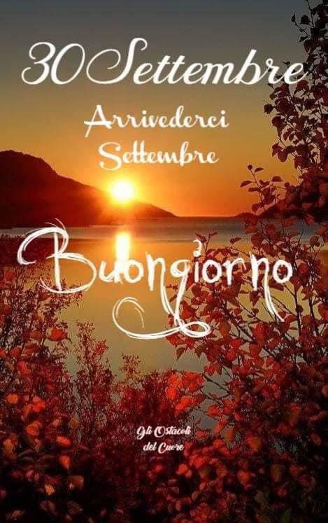 RITABIANCHi56 tweet media