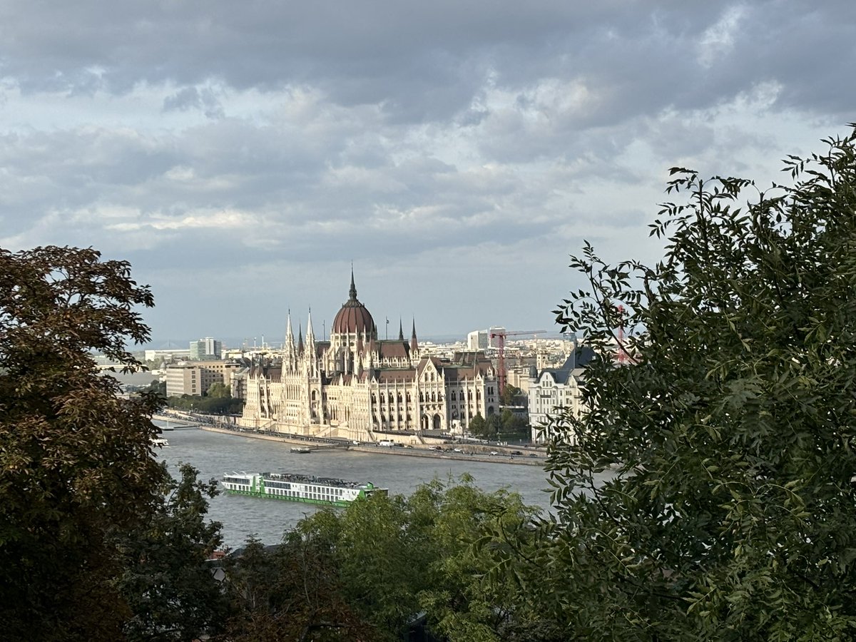 Sarah Graham tweet media