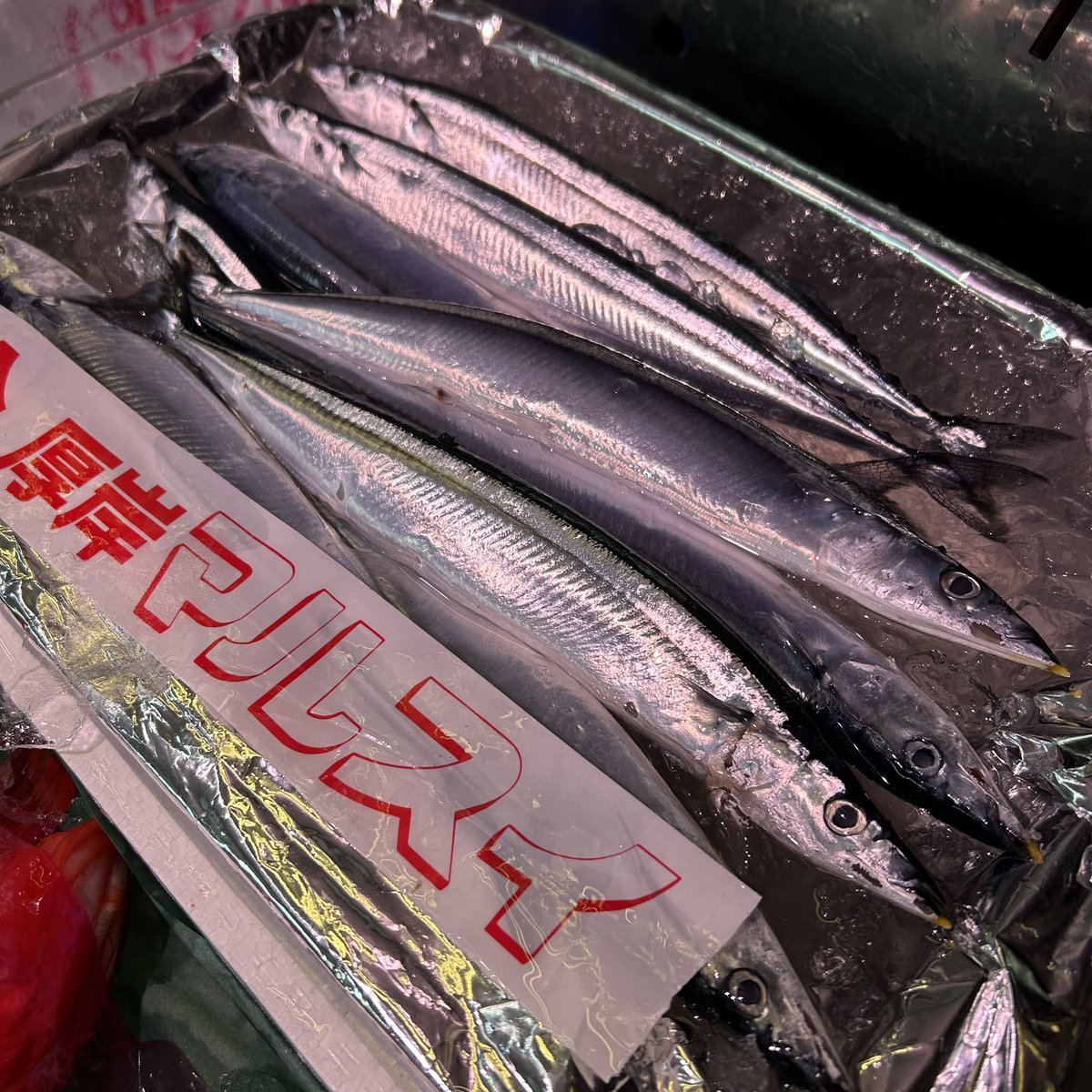 uotoyo's tweet photo. 北海道のぼたんえび、大きくて新鮮なものが入荷しています🦐朝は微かに動いていたりします🦐
さんまやすけこもあります😊
 #uotoyo https://t.co/ltctOC9V2T