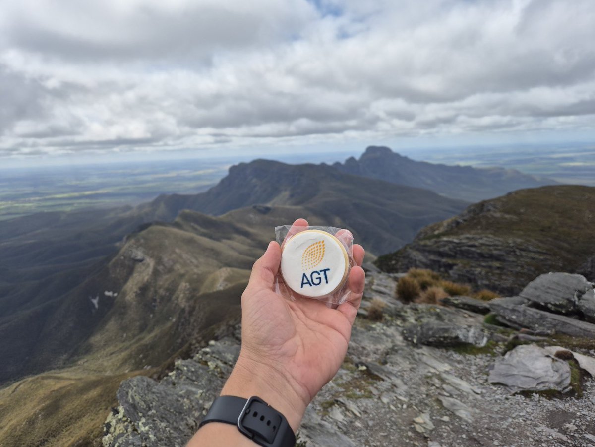 floyds63's tweet photo. The AGT biscuit made it to the top of WA, nourishing the intrepid hicker who made it the top in shorts 🩳 🥶 . #softwheat https://t.co/6o02HcR5S2