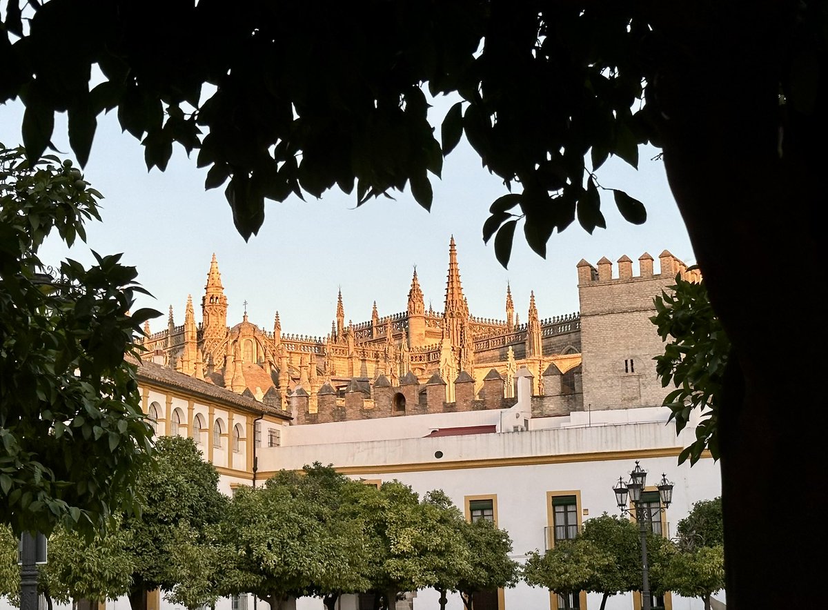 James May tweet media