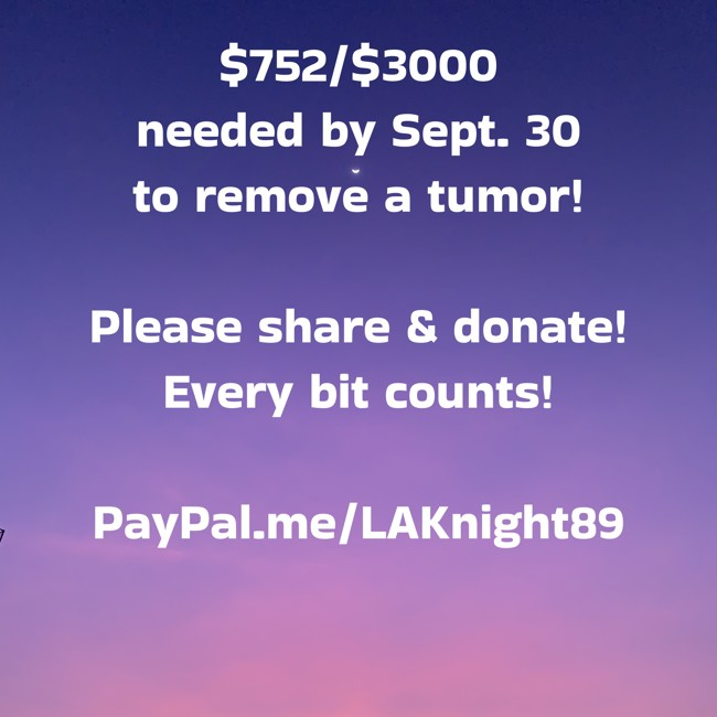 elendraug's tweet photo. Please help my friend afford urgent surgery to remove a tumor!! $752/$3000 needed TODAY, September 30th! Even a few dollars at a time makes a big difference 🫶 Thank you!!! 
https://t.co/2KaFCqRys6 
#MutualAidBoost #MutualAidRequest #MutualAidThread https://t.co/drt0yGpAQ3