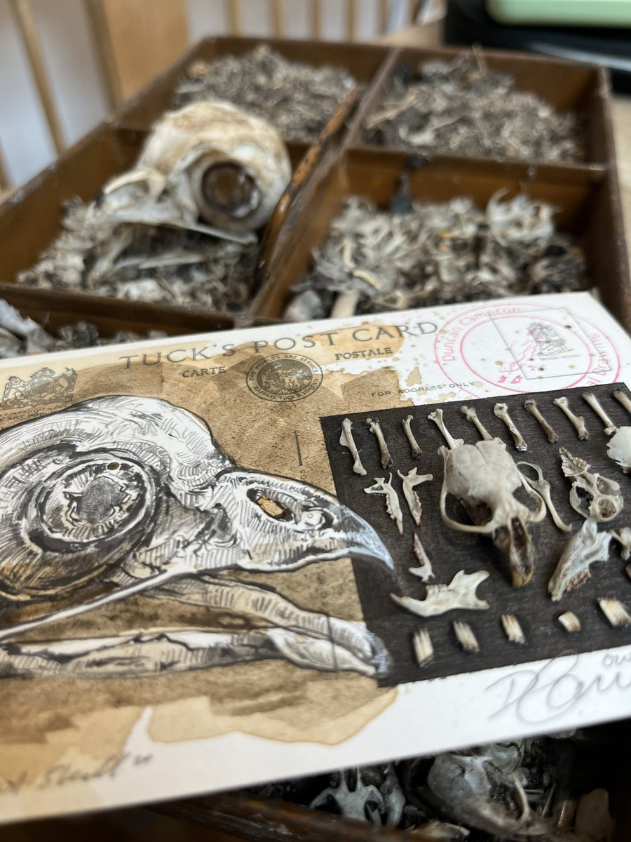 Duncan Cameron tweet media