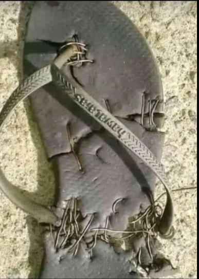 Ese wowe niki wibuka mubuzima bwa secondary school

FOLLOW <a href="/Nawebaguhe/">TAPI</a> ,I FOLLOW BACK IN 2SECOND

ME 😫😫😫😫😫😫👇👇👇👇