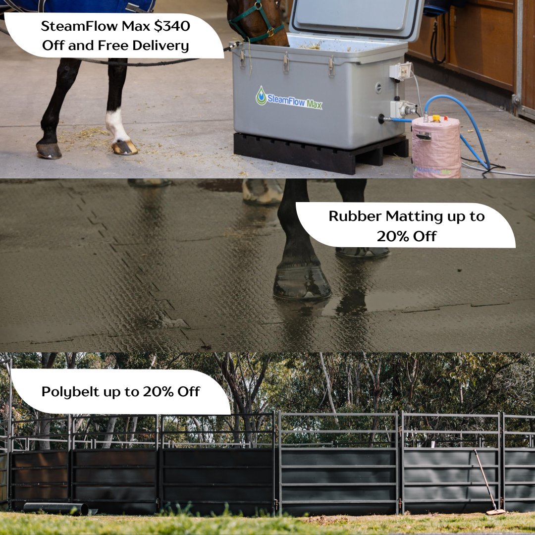 Amacron Equine (@AmacronEquine) / Posts / X