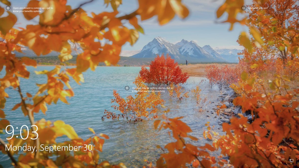 ev_m_'s tweet image. Clearwater county, Alberta, Canada
#WindowsSpotlight