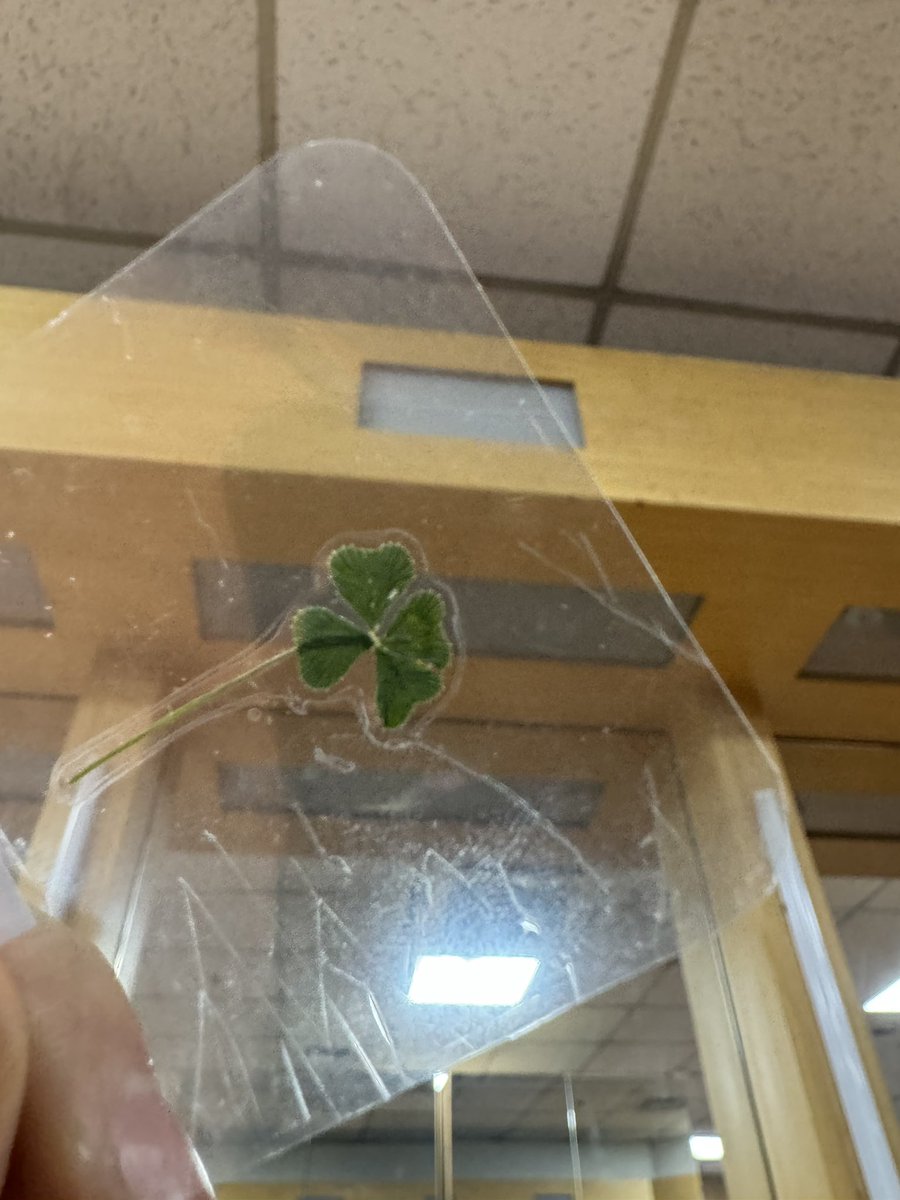 행복한 이틀이었다 !
#우빈 #BEYOND_YOUR_MEMORIES