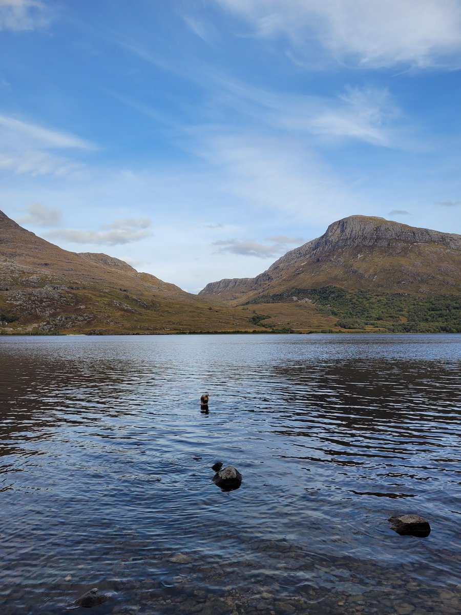 Kara-Louise Royle tweet media