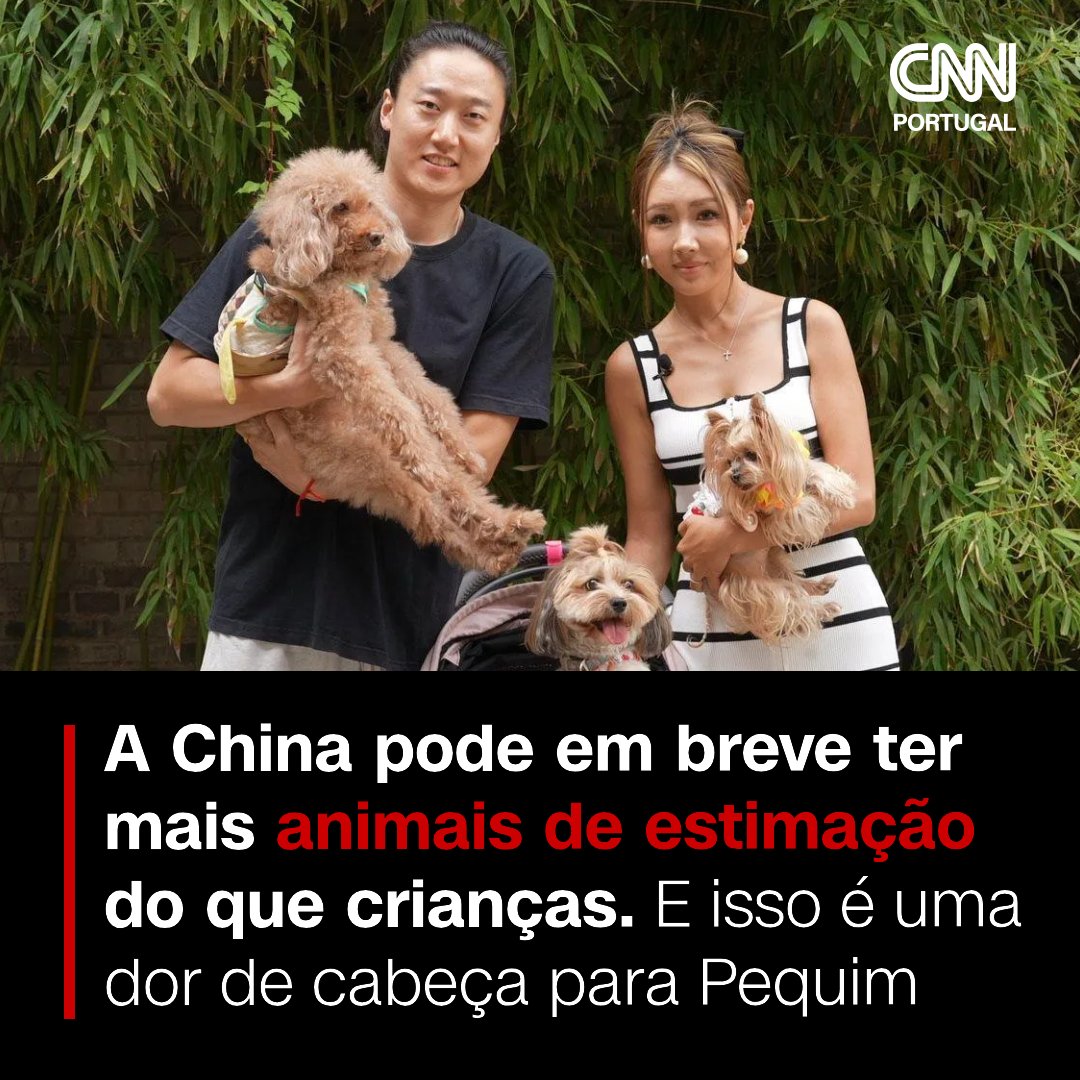 cnnportugal's tweet image. Na China, as prioridades dos casais estão a mudar, com muitos casais a optarem por criar animais de estimação em vez de filhos.
 
Saiba mais: swki.me/j0qYEu42
 
#china #casais #filhos #animais #animaisdeestimação #pequim #natalidade #familia #crianças