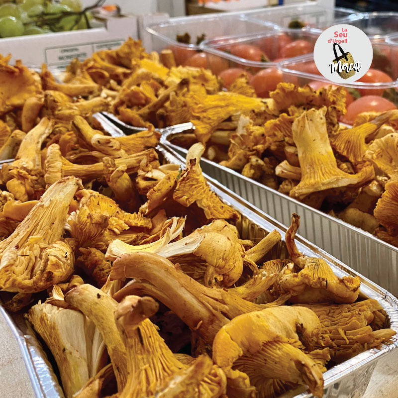 🍄 A punt per a la temporada de bolets?
Estigues atent/a perquè al #mercat ja comencen a aparèixer! 🍂