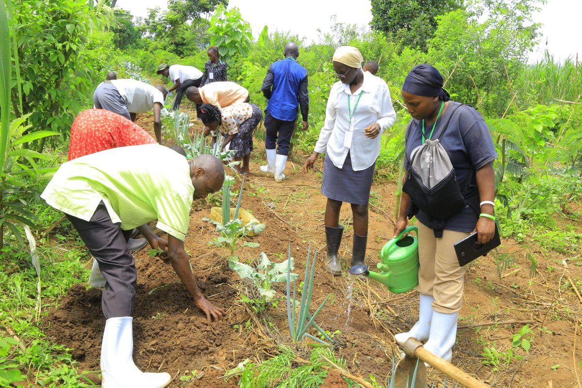 InstituteLand's tweet photo. BLI - holds a one week "Regenerative farming for sustainable livelihood" workshop with support from Seeds for Peace - U.S.A.
This workshop enriched participants on models of Regenerative farming through a mindset change process (Integral Ecology) https://t.co/EVmKWruoAF