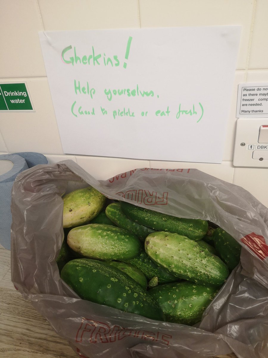 Andrew Bowman tweet media