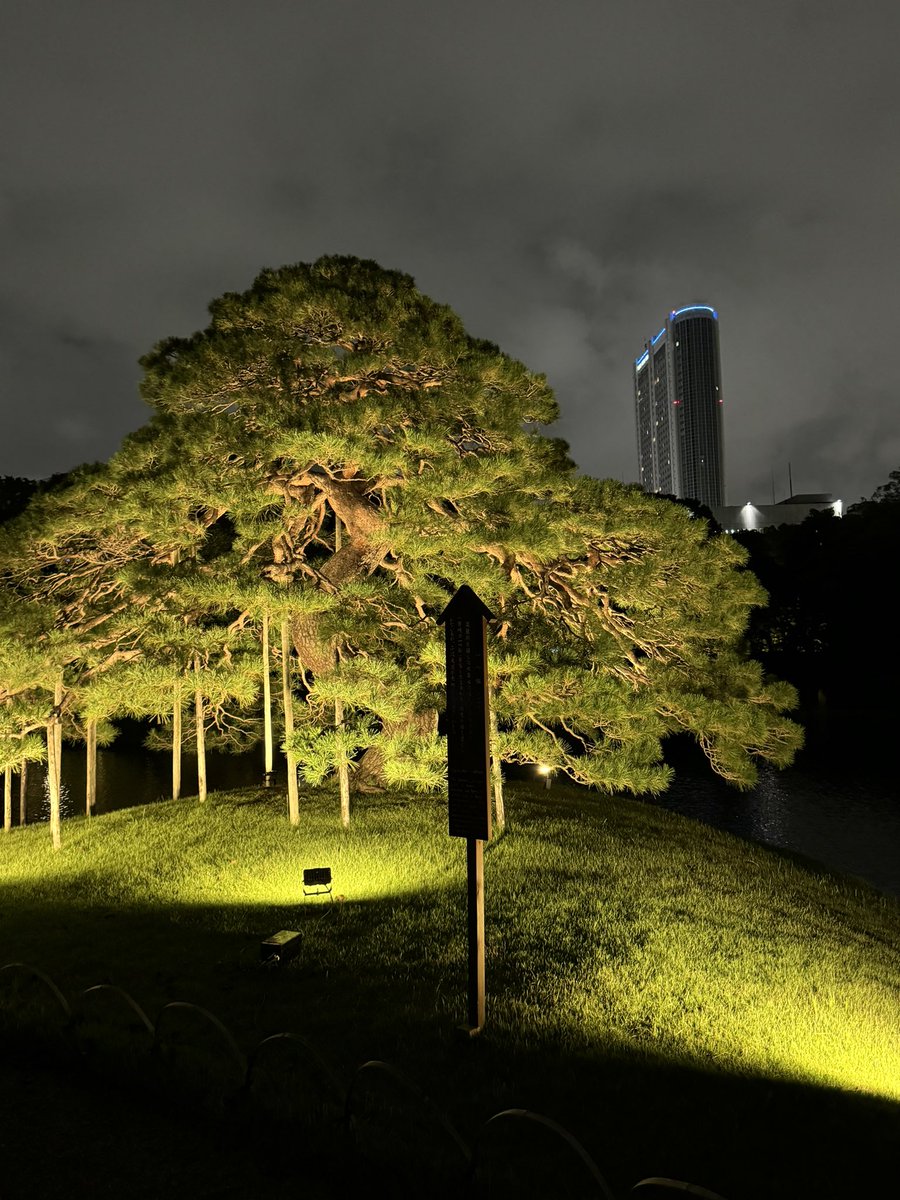 夜間特別開園〜秋の夜長の小石川後楽園
本日、9/30(月)参上❣️
18:30〜、19:00〜、20:00〜の3回上演
一部演目は重複しますが、各回別の演目を上演します
江戸の香りをお楽しみください

#大江戸玉すだれ
#玉すだれ
#佃川燕也
#佃川松芭
#小石川後楽園
#特別開園