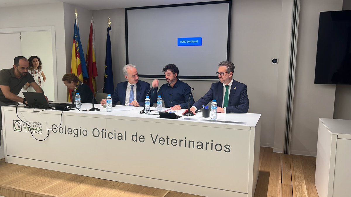VOX Valencia tweet media