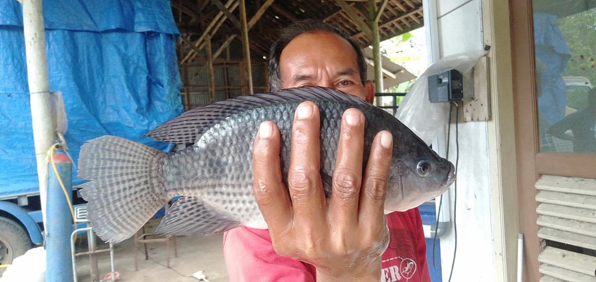 Abihasna tweet media