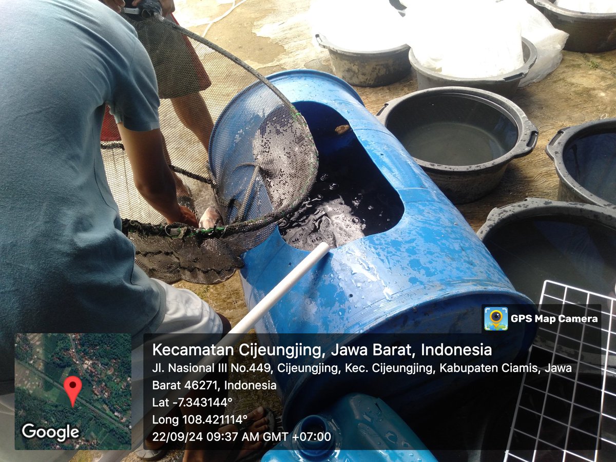 Abihasna tweet media