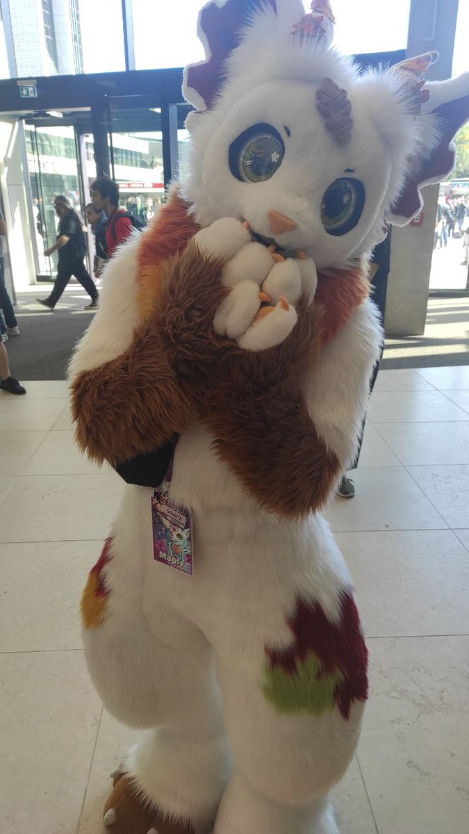 Maple 紅葉 tweet media