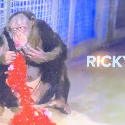 RickyvstheWorld's tweet photo. #NewProfilePic https://t.co/UBqbJvMcV3