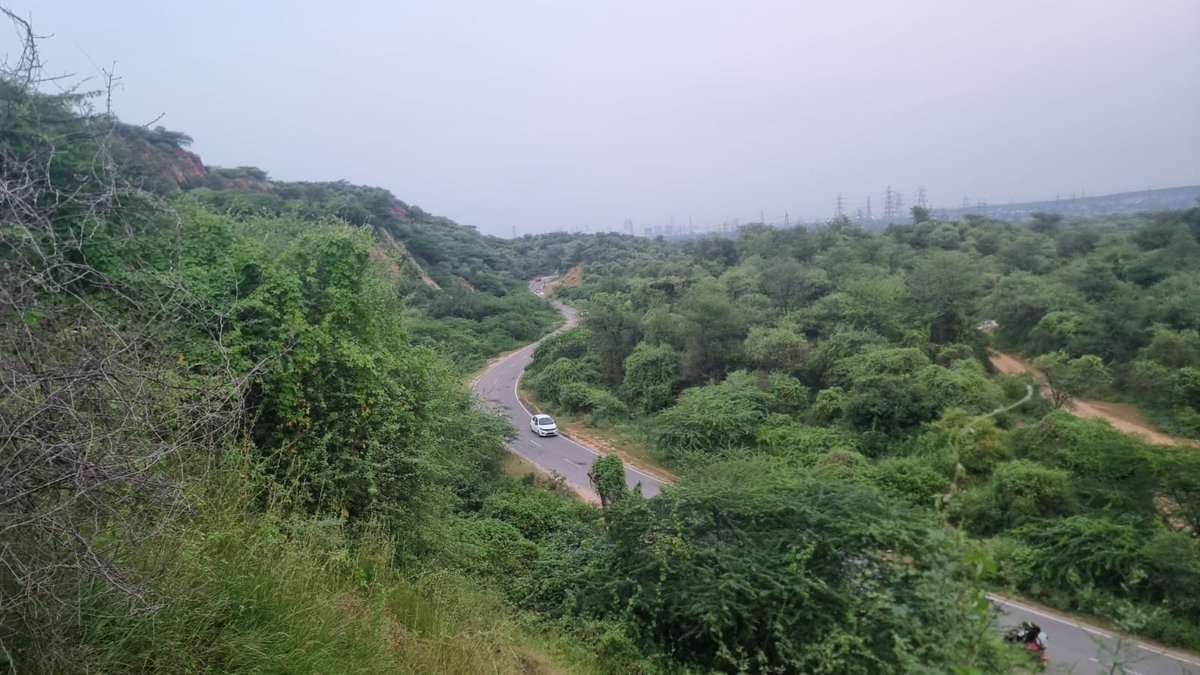 sunil anjaria tweet media