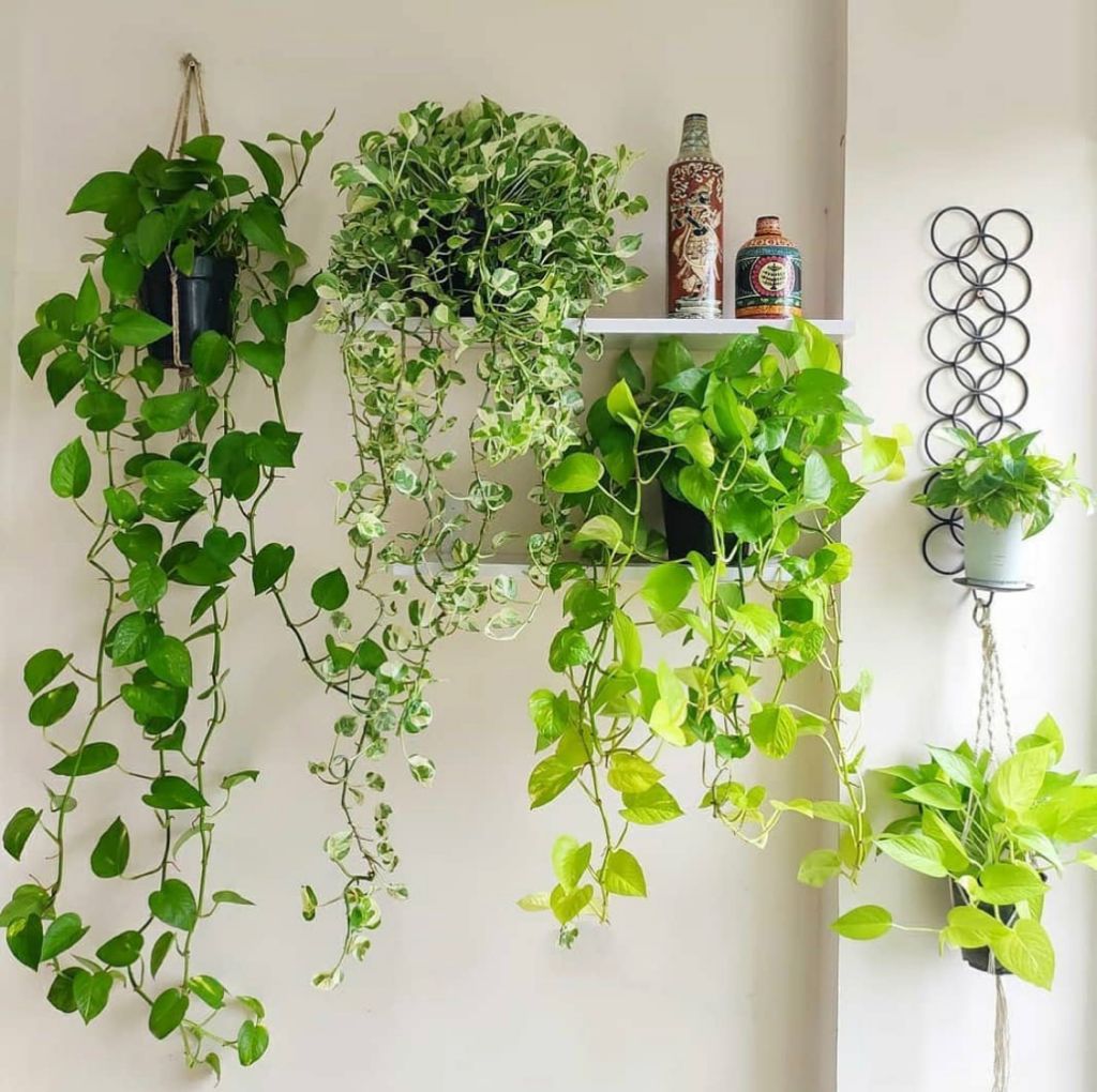 Does this design speak to you?🙂

#JMVIRealty #amazing #travel #lifestyle #blues #chic #photooftheday #sun #beautiful #ig #follow #instagram #thursday