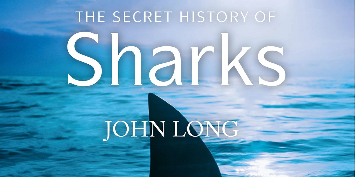 Flinders University (@flinders) on Twitter photo Don’t miss the book launch of The Secret History of Sharks by our Palaeo Prof. @LongJohnfossil! John explains the evolution of sharks from megalodons to great whites & how they became the ultimate survivors.
🗓️ Tues 8 Oct 6pm - 8pm
📍 <a href="/SAMuseum/">South Australian Museum</a>
Book here: bit.ly/3BpsEGi Don’t miss the book launch of The Secret History of Sharks by our Palaeo Prof. @LongJohnfossil! John explains the evolution of sharks from megalodons to great whites & how they became the ultimate survivors.
🗓️ Tues 8 Oct 6pm - 8pm
📍 <a href="/SAMuseum/">South Australian Museum</a>
Book here: bit.ly/3BpsEGi