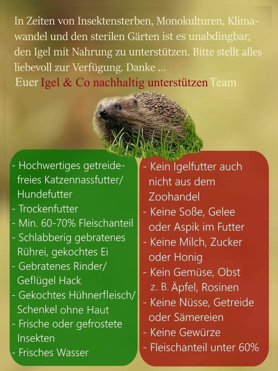 ‼️Hier ein Überblick über geeignetes Igelfutter, im Handel wird leider diesbezüglich immer wieder falsch beraten.‼️
#Twitterrudel