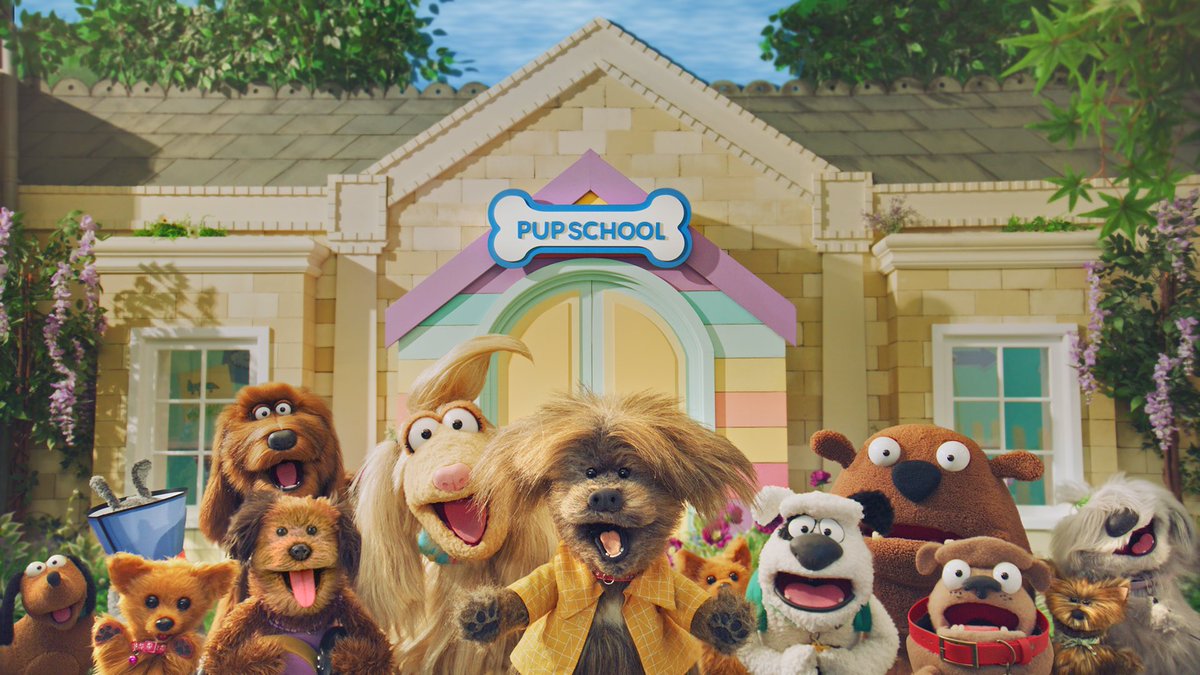 Y’alright Cockers!! Catch my brother Dodge’s Pup School today at 5.15 on CBeebies!! You’re in for a treat Cockers!! #cbeebies #dodgespupschool