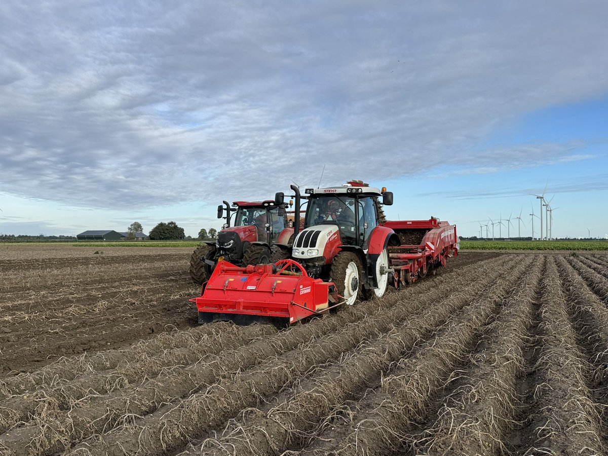 Harrysfarm 🚜🥔🌾🌻🚴‍♂️🧅 tweet media