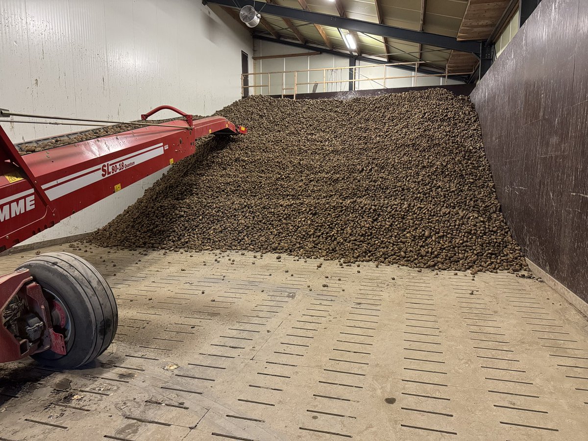 Harrysfarm 🚜🥔🌾🌻🚴‍♂️🧅 tweet media